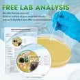 thumbnail image 4 of Kit de prueba de moho Ditimlci para el hogar con análisis de laboratorio gratuito - 10 pruebas, 4 of 8