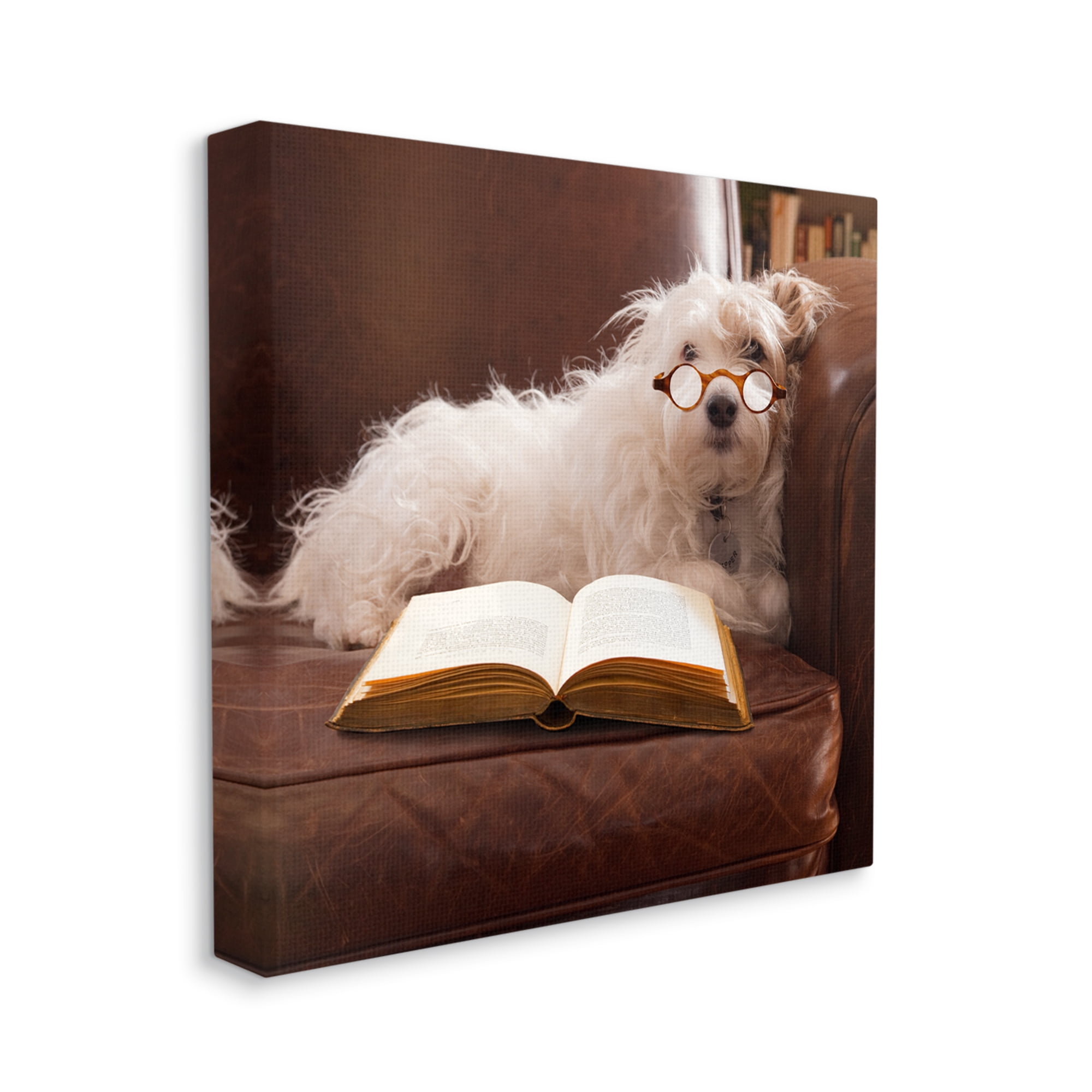 Stupell Industries White Dog Reading Book Animals & Insects Painting Gallery Wrapped Canvas Print Wall Art, 17 x 17