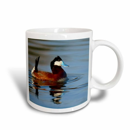 3dRose Male Ruddy duck, Henderson, Nevada - US29 MPR0067 - Maresa Pryor, Ceramic Mug, 11-ounce