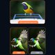thumbnail image 4 of Cámara de observación de aves con panel solar HD 1080P WiFi 2.4G Captura automática a prueba de agua, 4 of 6