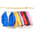 thumbnail image 6 of PatPat Kid Boys Girls Puffer Jacket Lightweight Zipper Winter Coat Size 4-13, 6 of 6