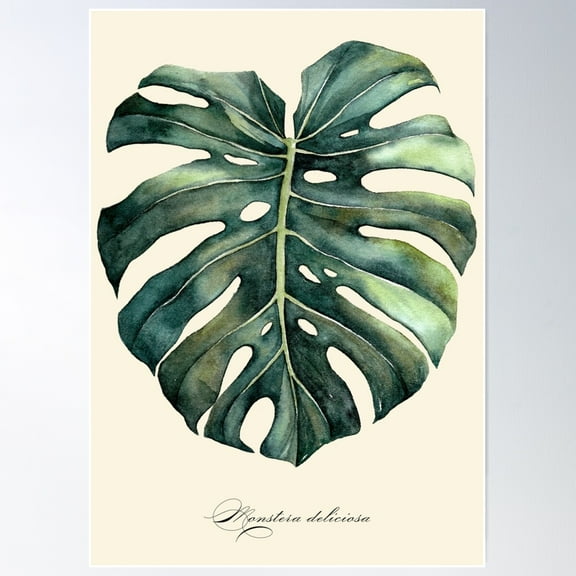 Monstera Vintage Illustration Poster Wall Art, Modern Wall Decor For Living Room Bedroom, 8x12 UNFRAMED