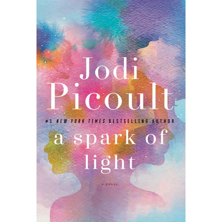 A Spark of Light : A Novel