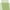 Green, variant on cfhntfmh Leggings for Women Fashion Print Patchwork Elastic Waist Seamless Skinny Pants Fitness Athletic Gym Yoga Leggings