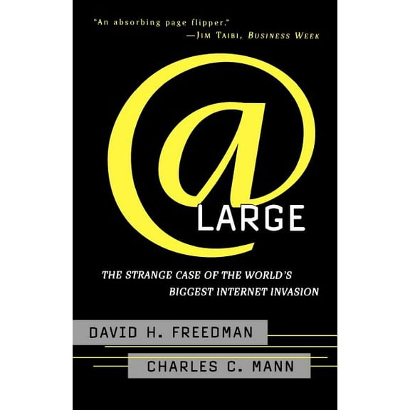 At Large : The Strange Case of the World's Biggest Internet Invasion (Paperback)