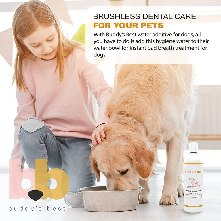 Best treatment clearance for dog breath