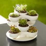 The HC Companies 8 Pixie Indoor Stacking Succulent Planter Pot, Vanilla Bisque