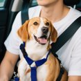 thumbnail image 3 of Car Pet Belt Dog Car Leash Cute Pet Car Adjustable Rope Rope, 3 of 4