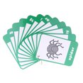 thumbnail image 3 of Tarjetas de Memoria Sunnimix 1 de 52 Unidades tarjetas flash de palabras, 3 of 8
