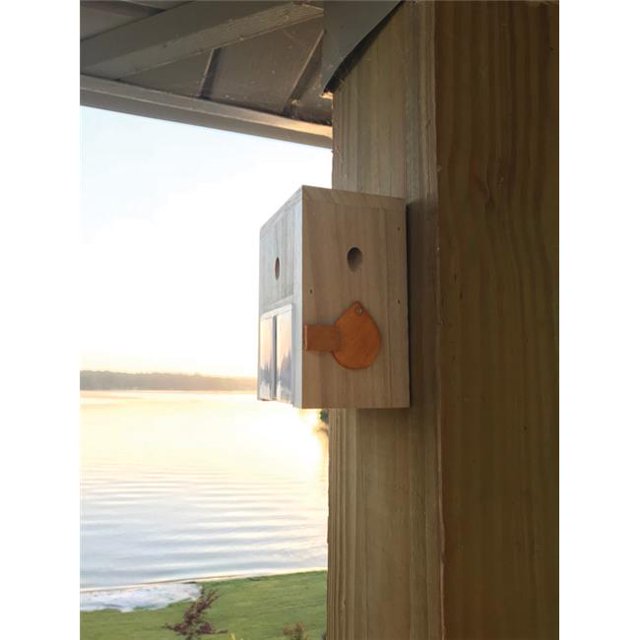 Carpenter Bee Trap