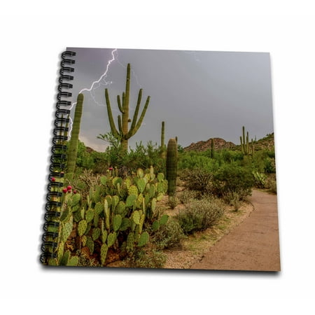 3dRose Arizona, Tucson, Saguaro National Park West, Lightning - Mini Notepad, 4 by 4-inch