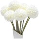 thumbnail image 1 of Ramo de flores artificiales de dalia blanca XCF 10 unidades color blanco, 1 of 3