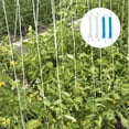 thumbnail image 2 of OULII 4 Sets of Tomato Climbing Aid with Iron Blue for Vegetable Growing, 2 of 8