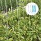 thumbnail image 4 of Phenofice 4Jgo De Hierro Para Soporte De Y Plantas Trepadoras Uso En Jardín, 4 of 5
