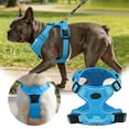 thumbnail image 2 of TIELUTT Harness Leash Vest Harness/ Breakaway Large Harness Reflective Walking Leash Dog Accessories Design Catch Net for Dogs Dog Trainer Accessories Dog Car Seat Dog Bike Rack, 2 of 5