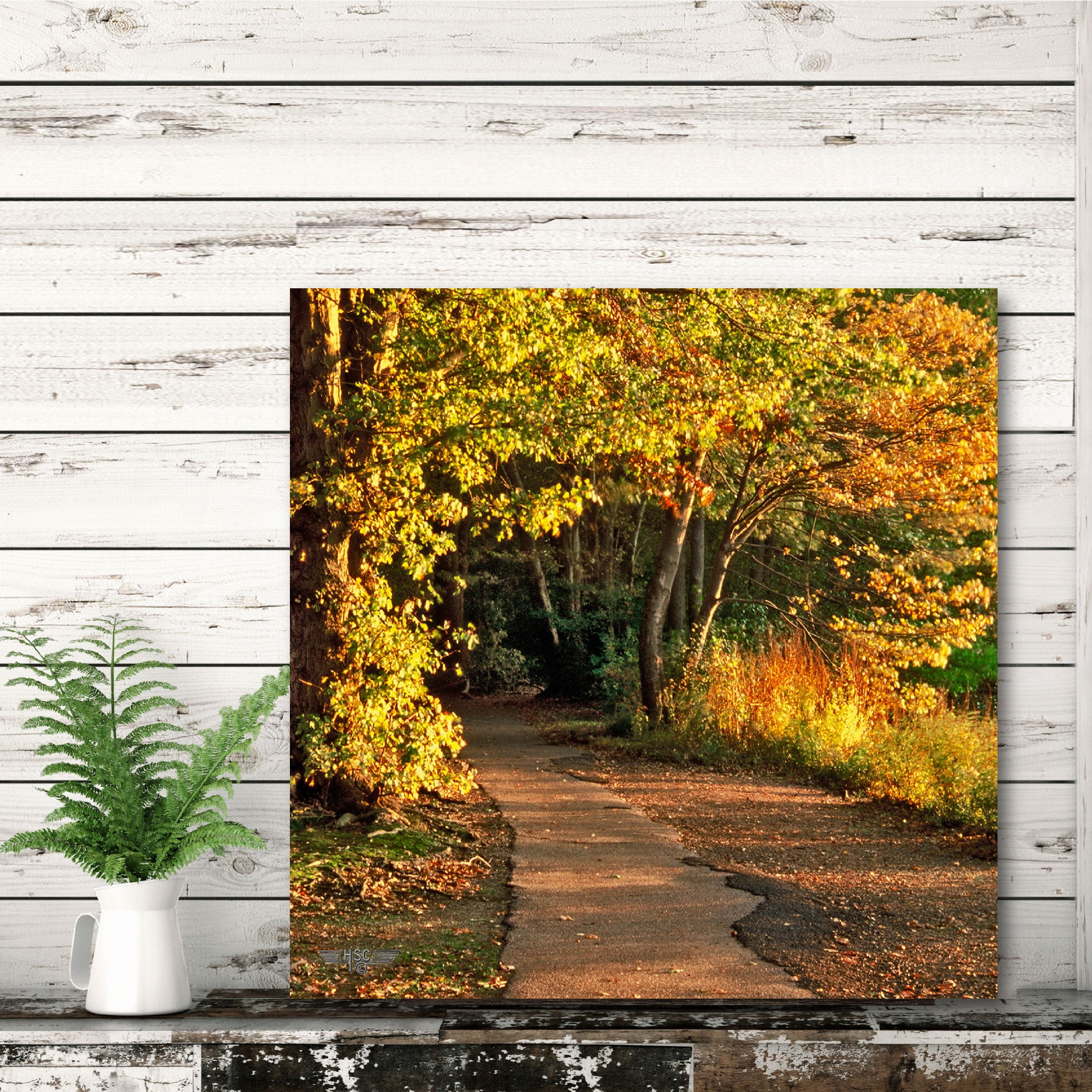 Fall Colors on the Trail Gallery-Wrapped Canvas Wall Art, 16x16