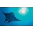 thumbnail image 4 of The Blue Planet: Seas Of Life (Blu-ray), 4 of 4