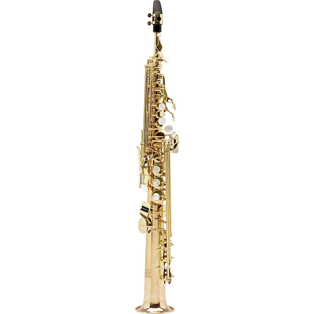 Allora Paris Series Professional Straight Soprano Saxophone with 2 Necks AASS801 Lacquer