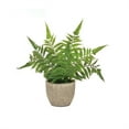 thumbnail image 4 of Melrose Potted Artificial Fern Plants - 11" - Set of 3, 4 of 4