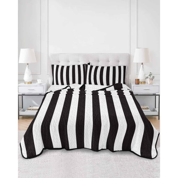 Quilts Queen Size, Simple Black White Stripes Soft Comforter Bedding Set for Bed, Modern Stripes Lightweight Quilted Bedspread with Pillow Cover(2 Pieces) for All Season, 90x96 Inch