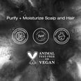 thumbnail image 6 of Raw Sugar Pure Scalp Therapy - Activated Charcoal + Coconut + Peppermint Oil - 6.7 fl oz, 6 of 8