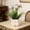 Multicolor-A/A, variant on Home Decor,Simulated Floral Potted Decor Realistic Petal Look Ceramic Pot Base Zero Maintenance Required,Festive Decor for Living Room Desktop Entrance Office Workstation Holiday Gift Decors