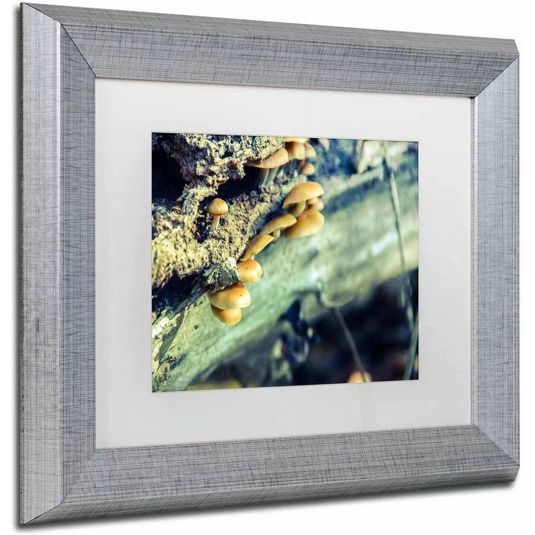 Trademark Fine Art 'Aged Mushroom' Canvas Art by PIPA Fine Art, White Matte, Silver Frame