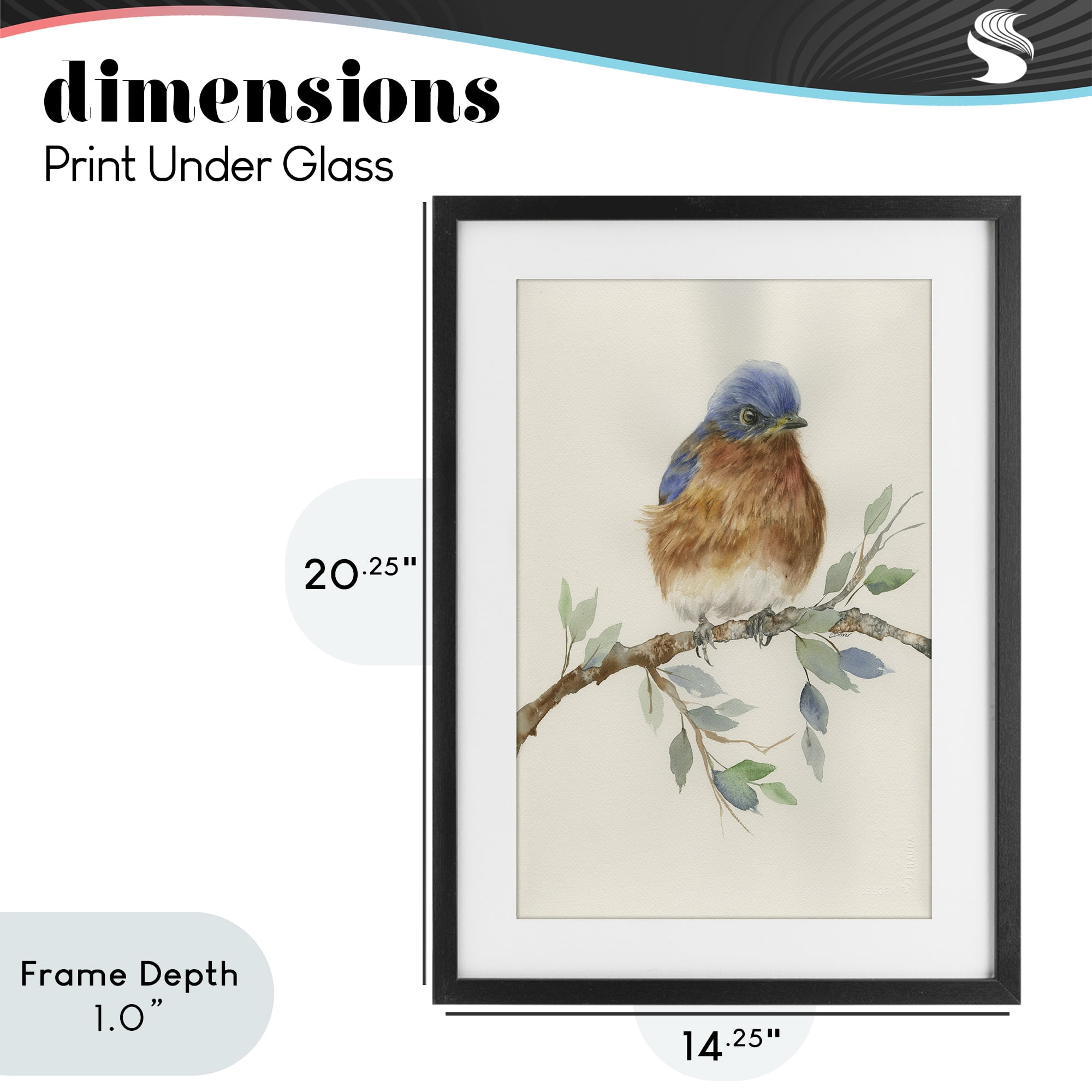 Stupell Industries Songbird Perched on Branch Black Framed Print Under Glass, design by Cady Driver