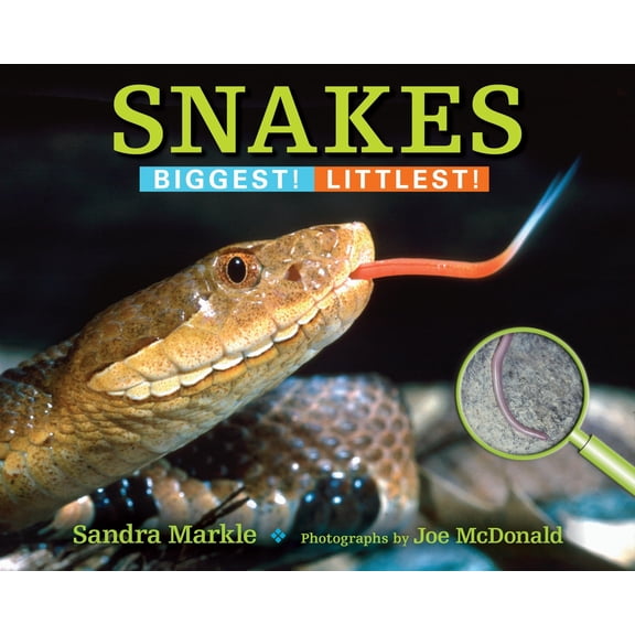 Pre-Owned Biggest! Littlest!: Snakes : Biggest! Littlest! (Paperback)