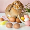 thumbnail image 4 of 20 piezas huevos de gallina falsos, pequeños huevos artificiales, huevos de simulación, decoraciones de huevos falsos de Pascua, 4 of 4