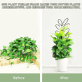 thumbnail image 5 of 2PCS Metal Indoor Plant Trellis, Outdoor Decorative Support for Climbing Plants for Potted Plants, Perfect for Vines, 5 of 7