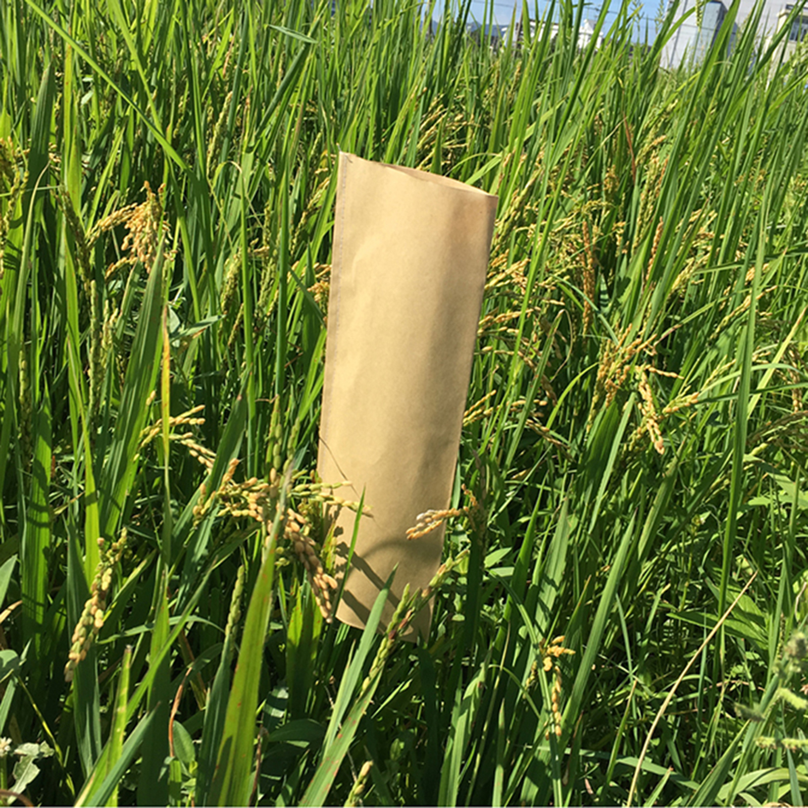 Crops Storage Sack Paper Seed Bag Party Favors For Flowers Store Seeds Bags