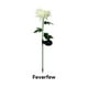 thumbnail image 3 of Lámpara Solar de crisantemo, 2 uds., luz de jardín, flores artificiales, césped, paisaje, jardín, decoración exquisita, creativa Iluminación y accesorios Crisantemo blanco Crisantemo Blanco Bearachild HA073440-01, 3 of 6