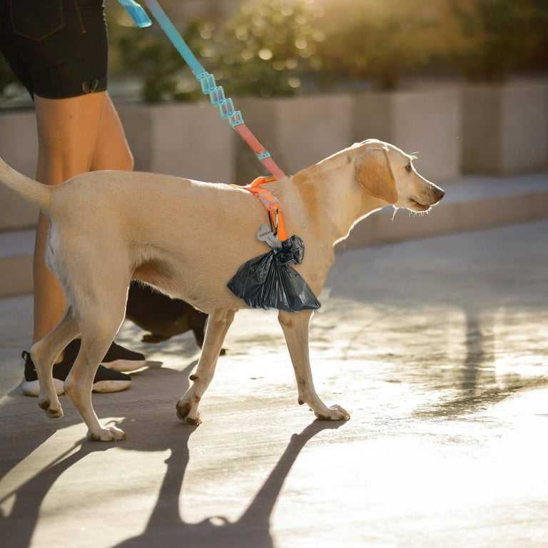 Dog poop carrier hotsell while walking dog