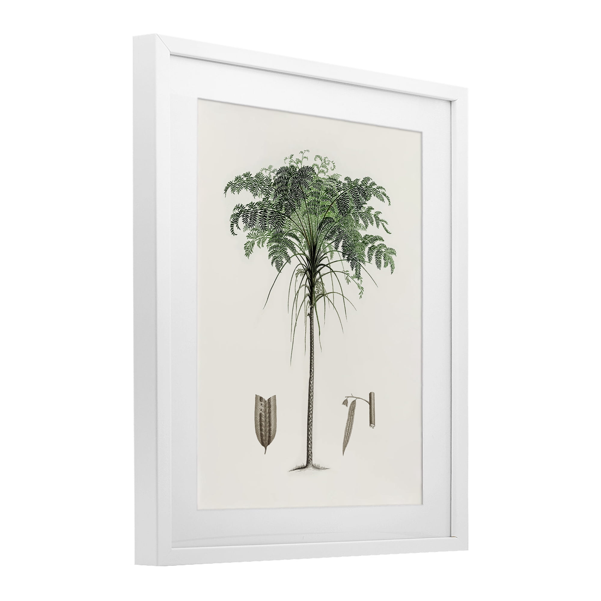 Stupell Industries Vintage Palm Leaves White Framed Print Under Glass, design by Val Rhodes