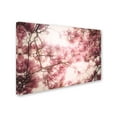 thumbnail image 2 of Trademark Fine Art 'Spring Colors' Canvas Art by Philippe Sainte-Laudy, 2 of 3