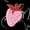 Black Strewberry, variant on Clear Backpack Heavy Duty Stadium Approved School Cute Transparent Backpacks Clear Bag Travel
