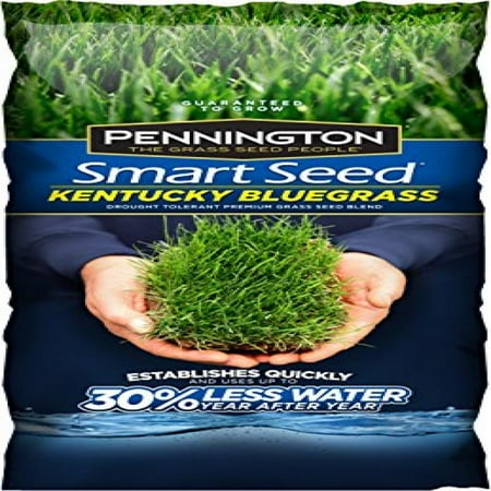 Pennington Smart Seed Kentucky Blue Blend Grass, 3 lb. - Walmart.com