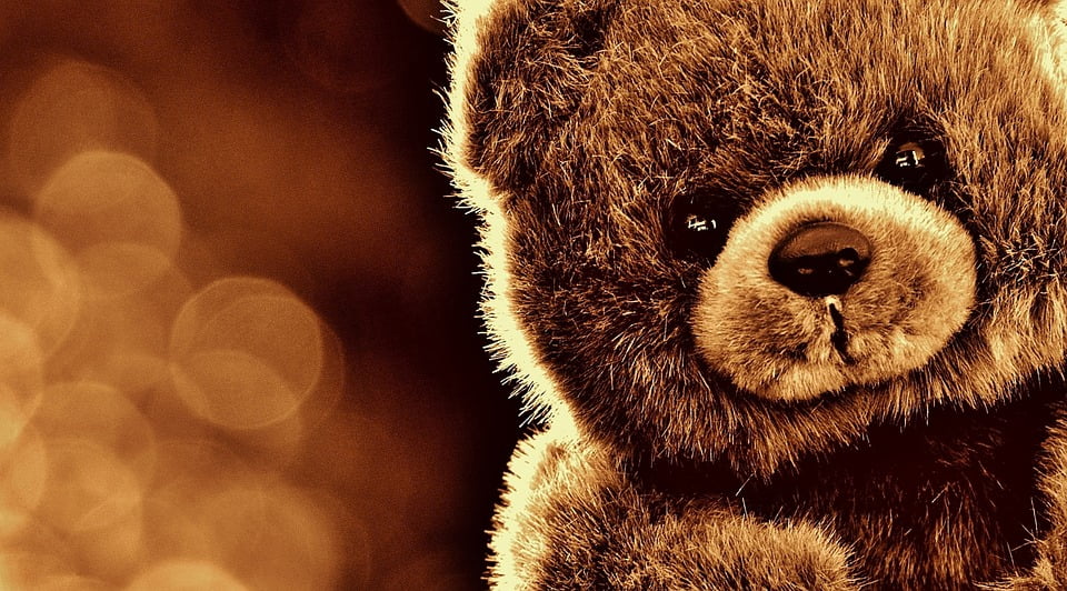 teddy bear framed art