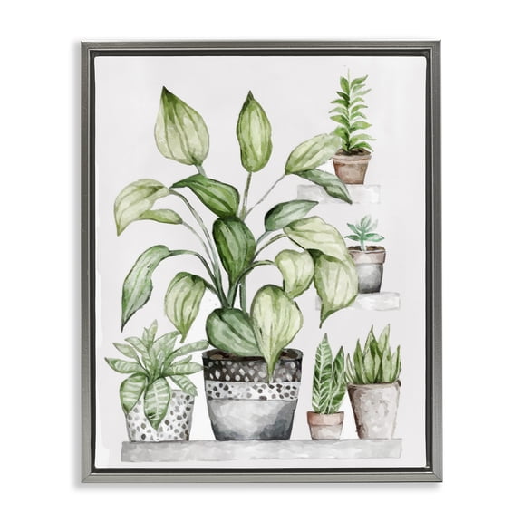 Stupell Industries Bohemian Potted Plant Garden Botanicals Gray Floating Frame Canvas Art, 17 x 21, by Ziwei Li