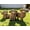 Dark Brown, variant on Highland Cow Figurine Set of 3, Funny Art Sculpture for Garden Backyard Patio Lawn Decorations, Outdoor Decor Statue Gift for Women Mom Grandma, Christmas Birthday