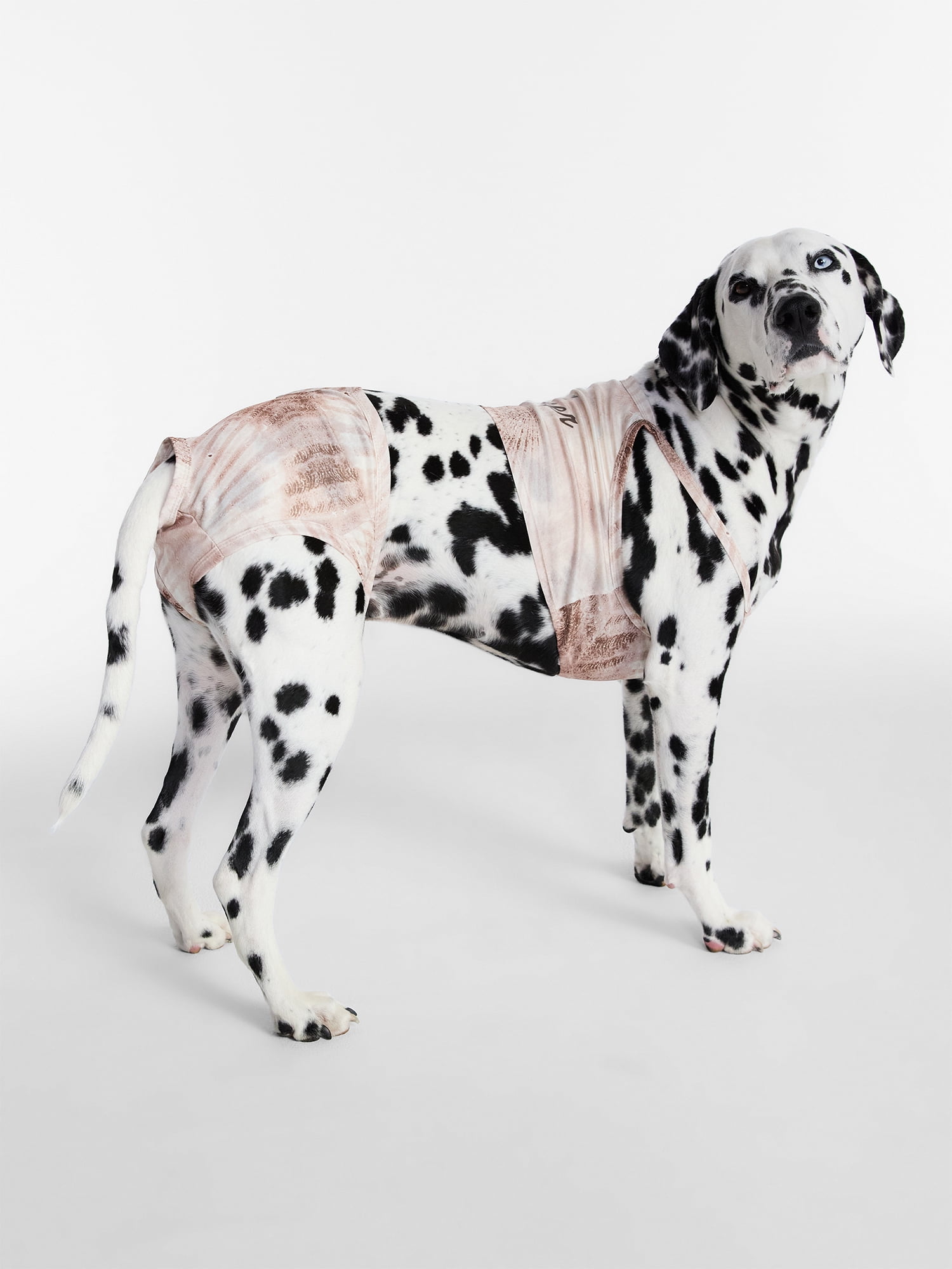 Hot Dog Summer by Megan Thee Stallion Shell Bloom Barkini Dog Bikini, Beige, Small