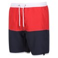 thumbnail image 3 of Regatta Mens Benicio Swim Shorts, 3 of 5