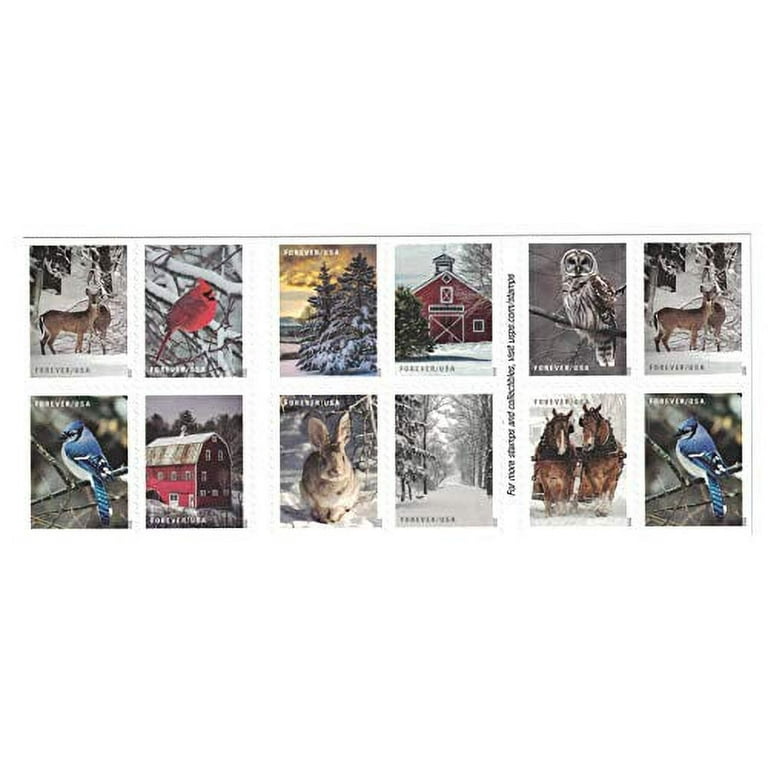 5536 - 2020 First-Class Forever Stamps - Winter Scenes: Barred Owl