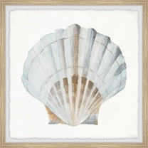 Parvez Taj Pretty White Shell Framed Wall Art