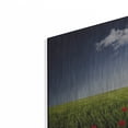 thumbnail image 2 of Luxe Metal Art 'Lone Tree in a Poppy Field', Metal Wall Art, 24"x16", 2 of 8