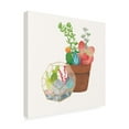 thumbnail image 2 of Trademark Fine Art 'Succulent Garden III' Canvas Art by Wild Apple Portfolio, 2 of 3