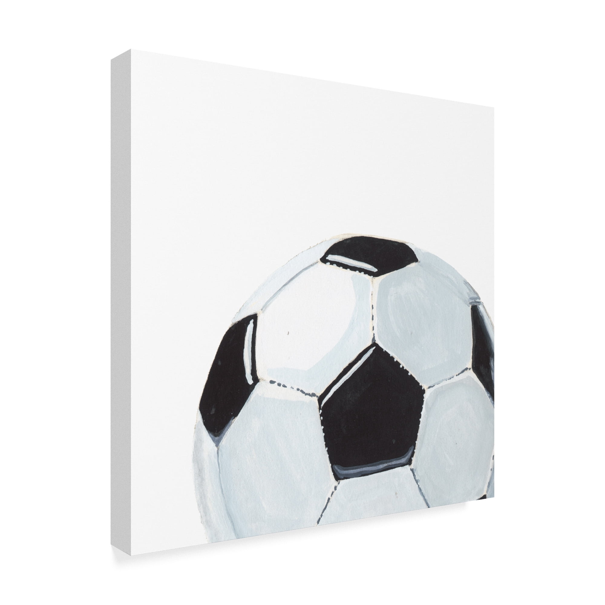 Trademark Fine Art 'Sporting VI' Canvas Art by Naomi McCavitt