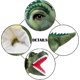 thumbnail image 3 of Hand Puppets Dinosaur Puppets for Kids, Dinosaur Toys for Boys Girls, Plush Dinosaur Stuffed Animal Story Toys Gifts for 3-6 Year Old Boy (T-Rex) T-re, 3 of 5
