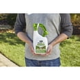 thumbnail image 4 of Scotts Mosses Algaes Weed Killer, 33.6 lb with Fast Acting, 4 of 8
